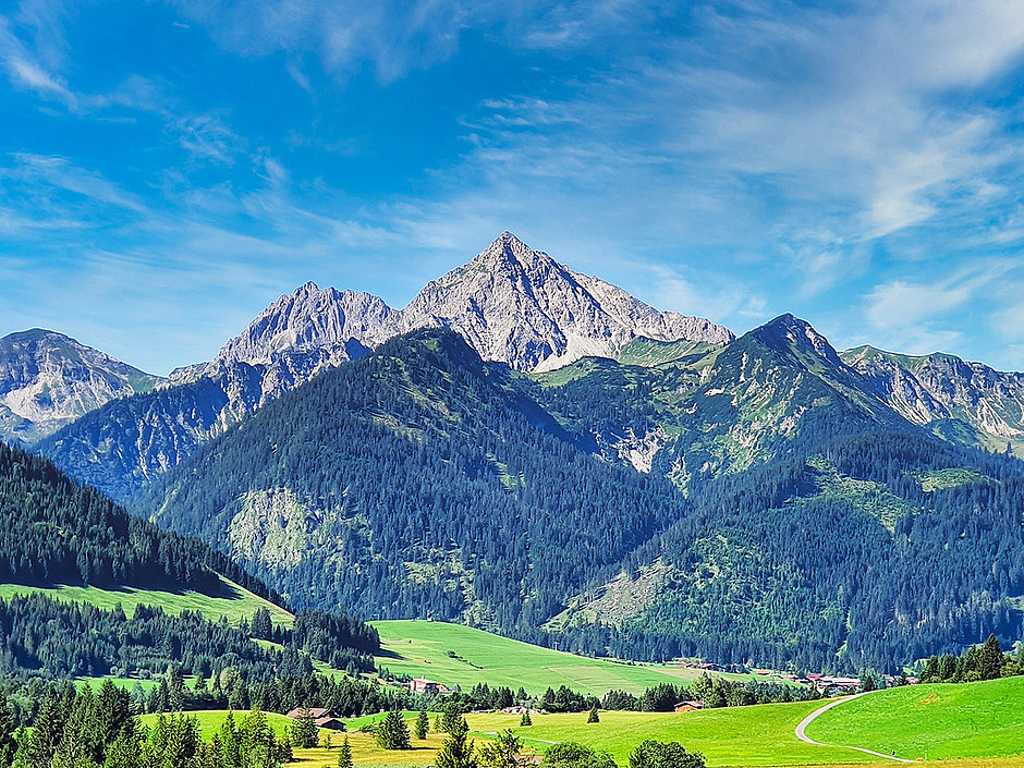 Aussicht auf das Tannheimer Tal